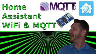 HomeAssistant  MQTT and WiFi Device [upl. by Terence]