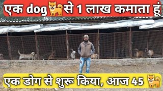 डॉग बिजनेस से लाखों कमाता युवा । dog farm business । Dog farm [upl. by Erehc]