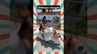 Neengala chithapu 😂💥  funny lordshiva sivan [upl. by Itin]