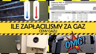 Ile zapłaciliśmy za ogrzewanie gazowe Ile kosztuje ogrzewanie gazem Rachunek za gaz Ceny gazu [upl. by Kai]