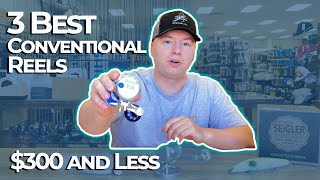 The BEST 3 Saltwater Conventional Reels 300 and Under [upl. by Christis]