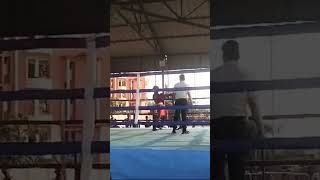 Boxing match at patna boxing shorts sports match [upl. by Esenej]