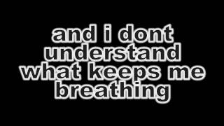 Limp Bizkit  Hold on lyrics [upl. by Sher]