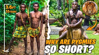 Who are Pygmies Why Are They the Shortest People on Earth [upl. by Katuscha]