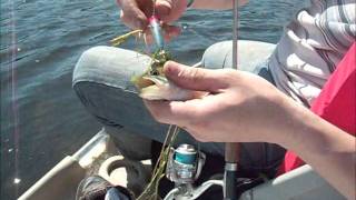 Gone Fishing at Jeptha Lake in Bloomingdale Michigan June 26 2011 [upl. by Bax]