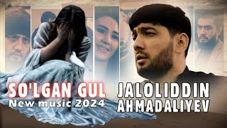 Jaloliddin Ahmadaliyev  Solgan gul Trendmusic 2024 [upl. by Ahsiekar260]