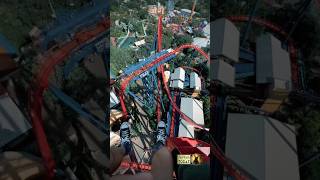 POV The most extreme roller coaster at Busch Gardens 🎢 [upl. by Eiramnerual889]