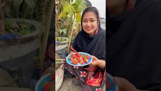 Delicious Strawberry Harvest  Preparing for a New Planting Season strawberry rooftopgardening [upl. by Adnical]