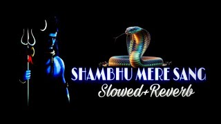 Shambu Mere Sang  Hunsraj Raghuwanshi  Bholenath Song  shanidevproduction  Latest Song [upl. by Sanez968]