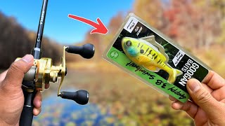 Bass Fishing With GOOGAN GUPPY 38quot SWIMBAIT [upl. by Ecirtam]