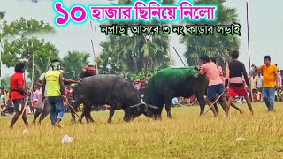 নপাড়া আসরে ৩ নং কাড়ার লড়াই  Napara Kara Larai 2024 manbhumbasi [upl. by Dominus]