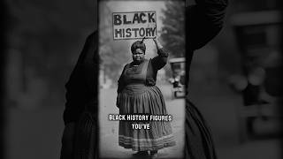 Fannie Lou Hamer Black History Stories [upl. by Claudius]