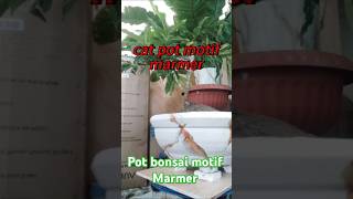 pot bonsai motif marmer [upl. by Drawoh]