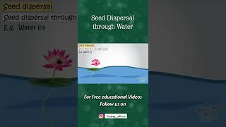 Ways of Seed Dispersal  Seed Dispersal through Water  Plants  Pollination  Science shorts [upl. by Sekoorb]