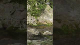 Vratna River Canyon  Serbia  Каньон реки Вратна  Сербия wildlife [upl. by Zusman]