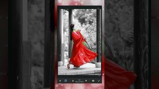 Color Spotlight Snapseed Photo Trick Editing shorts [upl. by Maidel]