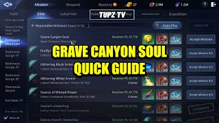 MIR 4  GRAVE CANYON SOUL  REQUEST MISSION QUICK GUIDE [upl. by Trebmer441]