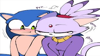 CatNip Effects Cats And Hedgehogs Sonaze Comic Dub [upl. by Aggarwal432]