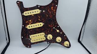 HSS Prewired Pickguard Loaded with Alnico 5 pickups [upl. by Robb]