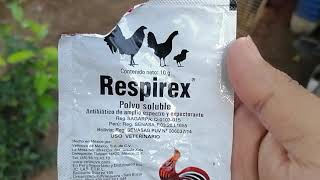 Respirex para prevenir enfermedades respiratoria [upl. by Ahsiekam]