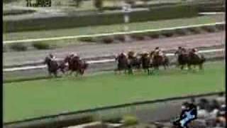 2007 関西ＴＶローズＳ Rose Stakes [upl. by Sirovaj484]