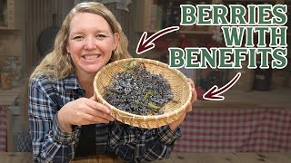 They Bought An Elderberry Business How Elderberries can help you Thrive [upl. by Notaek816]