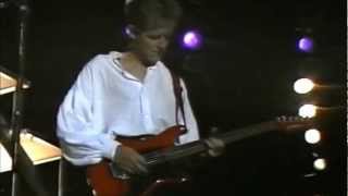 Icehouse  quotCrazyquot Live at The Melbourne Music Show 1988 [upl. by Elleirda]