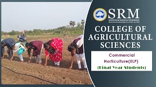 Commercial Horticulture ELP  SRM College of Agricultural Sciences [upl. by Ivonne]