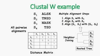 Clustal W Guide Tree [upl. by Northrup]