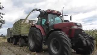 Claas Jaguar 940 Shredlage 2019 Mais häckseln Teil 2 [upl. by Siramad803]