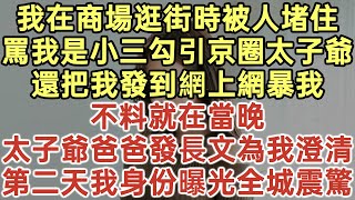 我在商場逛街時被人堵住！罵我是小三勾引京圈太子爺！還把我發到網上網暴我！不料就在當晚！太子爺爸爸發長文為我澄清！第二天我身份曝光全城震驚！落日溫情幸福人生中老年生活為人處世生活經驗情感故事 [upl. by Eluj]