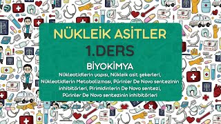 Nükleik Asitler 1Ders  Biyokimya [upl. by Sparhawk]