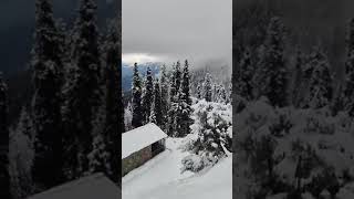 Heavy Snowfall view in Himachal Pradesh Himachal snowfall view 2024 [upl. by Ecyal189]