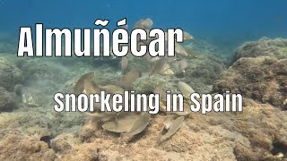 Snorkeling in Almunecar there is something to see [upl. by Hahnert]