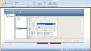 TUTORIAL NEODATA ERP 2009 23 Seguridad [upl. by Biddle]