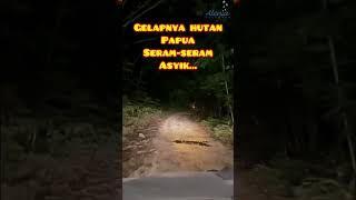 SeramSeram Asyik Gelapnya Hutan Papua “Alenia’s Journey Uncover Papua” [upl. by Roseann]