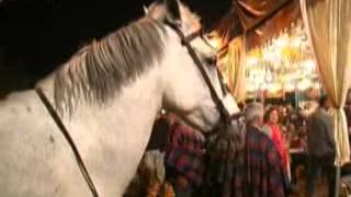 ToursTVcom Romeria de El Rocio [upl. by Suki]