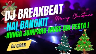 REMIX BREAKBEAT NATALHAI BANGKITNUNGA JUMPANG MUSE ARI PESTA IREMIX TERBARU 2024 SALAM TOLERANSI [upl. by Pardo248]