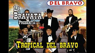 Entrevista Tropical del Bravo [upl. by Kcam568]