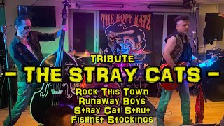 A Tribute to THE STRAY CATS 🎵 🎶 Rock This Town Runaway Boys Stray Cat Strut amp Fishnet Stockings [upl. by Arlette763]