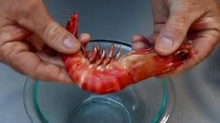 How to Peel Prawns  The Hook and The Cook [upl. by Farkas]