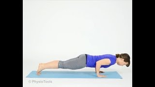 Push Up Narrow Hand Position [upl. by Yelmene]