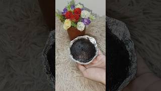 শেষমেশ কি আমি choco lava cake বানাতে পারলাম 🤔  shorts [upl. by Roley]