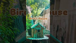 Tiny bamboohousebamboohouse birds birdshouse nature tree thoughts viralshort ytshorts [upl. by Kamerman]