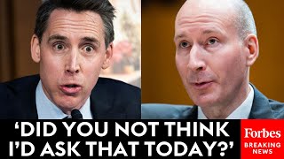 JUST IN Josh Hawley Does Not Let Up On Biden Official In Tense Senate Hearing [upl. by Kilroy852]