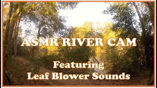 4K ASMR RIVER CAM 1HR Water Flowing Birds🐦Chirping amp Leaf🍂Blower riverkayaking ambientmusic [upl. by Nagam]