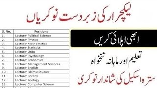 Latest Lecturer Jobs 2024Latest Advertisement1731 Post [upl. by Haleehs396]