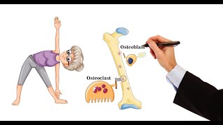 Pharmacology  DRUGS FOR OSTEOPOROSIS MADE EASY [upl. by Anilac4]