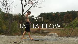 Level 1  QuickPaced Hatha Flow Free Yoga Classes with Daniel Rama [upl. by Redla665]