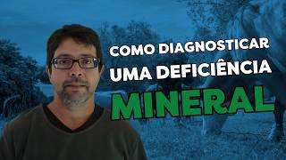 49  DEFICIÊNCIAS MINERAIS EM BOVINOS  Pedro Malafaia [upl. by Eralc]